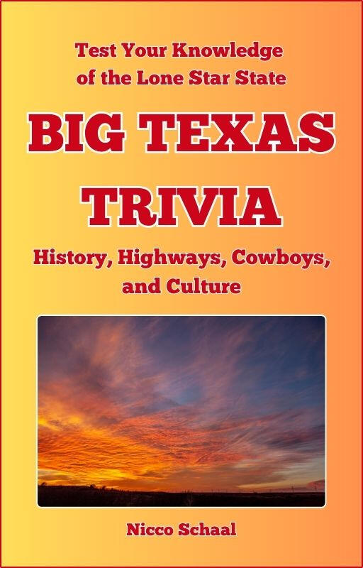 Book cover of the trivia available on Amazon.