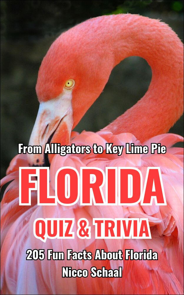 Book cover of the trivia available on Amazon.